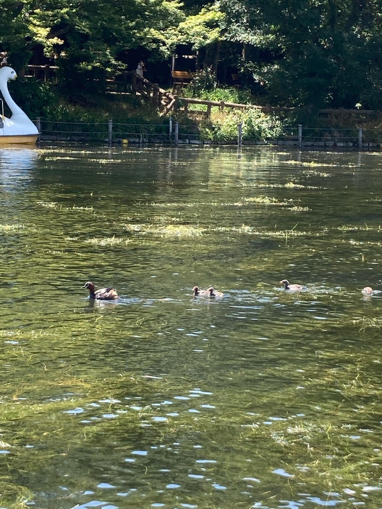 もうすぐ引越しです。